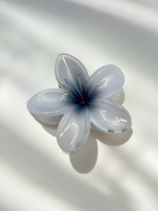midnight petal