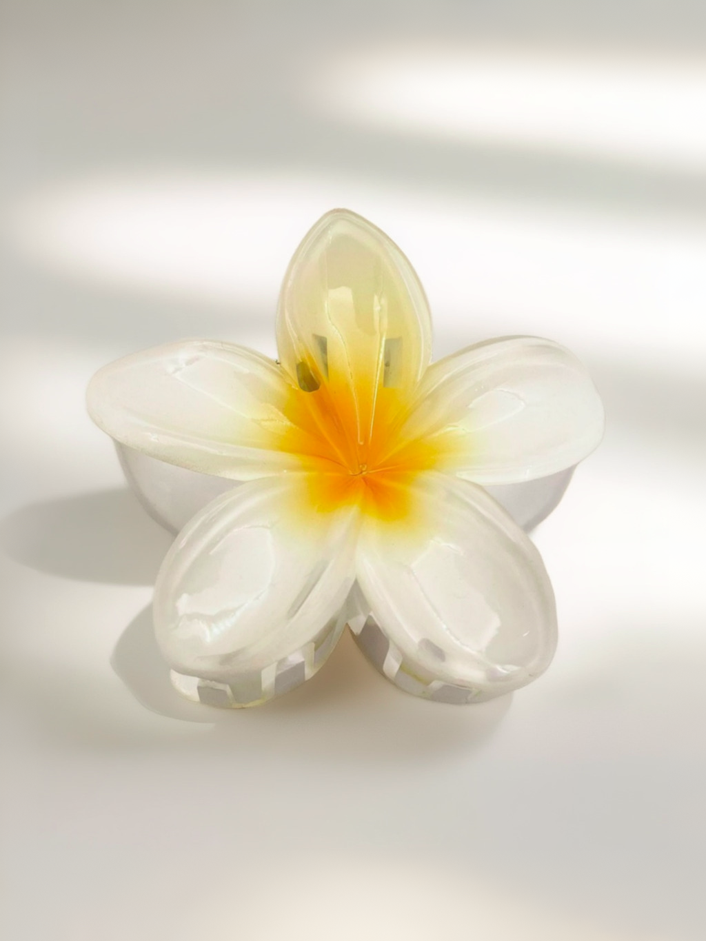 sun petal