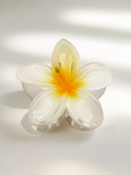 sun petal
